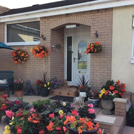 Lowefield B&B Stirling Exterior foto
