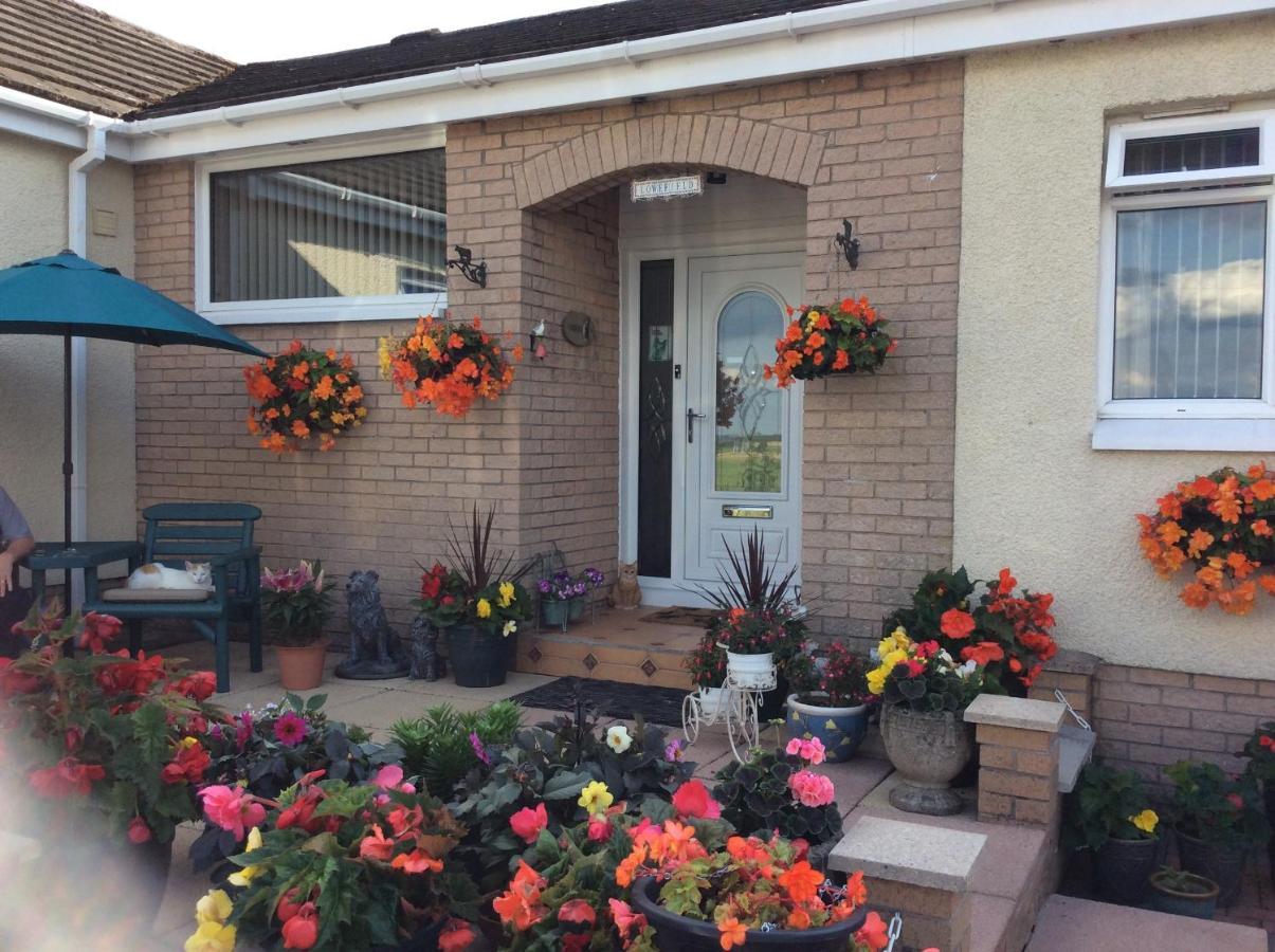 Lowefield B&B Stirling Exterior foto